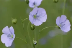 E608D84410463732C0A5FB0B2F9FD962