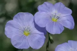 5A254E6FB01C3BFDD0A98E70F5C76768
