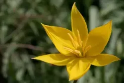 CA25AAA4C9A91F8FDEAC56799350357B