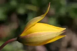 D5C3F008F431745ECA5119573E64BD24