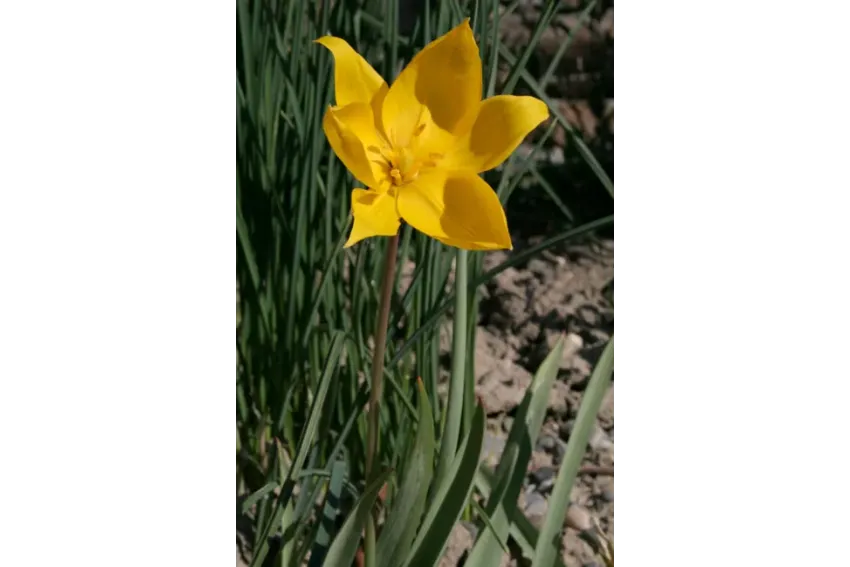 C5B2598973F7FCCE0DAAC1F6060D014A