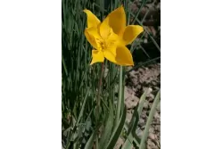 C5B2598973F7FCCE0DAAC1F6060D014A